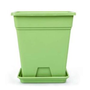 Square Root Control Basin